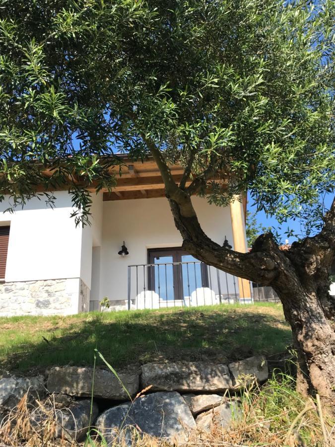 La Casina Del Olivo Villa Ribadesella Exterior foto